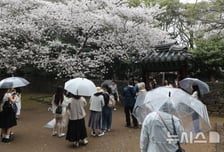 [오늘 날씨]전국에 비 소식…일부 남부지역엔 시간당 20~30㎜ 집중호우