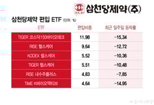 며칠만에 123만→64만원...이 종목 담은 ETF도 비명