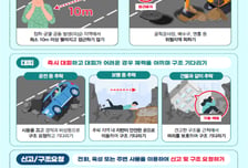 국토부, 싱크홀 재난 범정부 대응체계로 관리한다