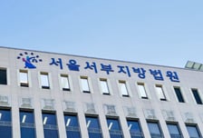 '서부지법 난동' 법원 침입 가담자들, 1심서 무더기 집행유예
