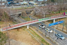 이젠 다리로 '쭉'…안산시 '동서 화합의 숲길' 준공, 경기지방정원 잇는다