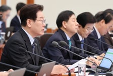 李 "단계적 개헌 추진이 순리… 무인기 사건, 北에 깊은 유감"