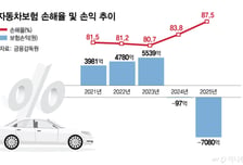 이미 적자… 車보험료 인하압박 손보업계 '특약확대' 꺼냈다