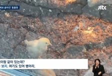 "눈앞에서 병아리 꿀꺽"...살아있는 먹이 준 구미 동물원 '학대 논란'