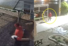 "빨간 점퍼 이 남자 찾아요"…마당 침입해 꼬리 치는 강아지들 내동댕이