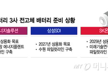 더 빨리, 더 멀리, 더 안전하게…'배터리의 미래' 전고체와 실리콘