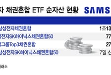 "퇴직연금에 삼성전자 더 담자"…채권혼합 ETF 자금 몰려