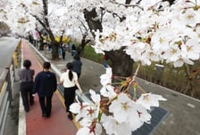 [내일 날씨] 아침 출근길 '영하 2도' 쌀쌀…미세먼지는 양호