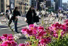 [오늘 날씨] 낮 최고 19도, 아침엔 쌀쌀…일교차 15도 이상