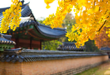 올 가을, 경복궁 은행잎 아래 백년가약 맺어요…예비부부 '주목'