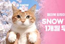 요즘 인스타 유행하는 '벚꽃사진 필터'… BC카드에선 공짜