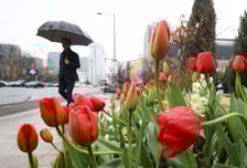 [내일 날씨] 전국에 비 소식…아침 최저기온 3도 내외