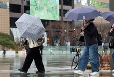 [오늘 날씨] "우산 챙기세요"…강풍 동반한 비