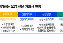 "보험만 팔아선 답없다"는 생보업계…요양사업 진출엔 '시각차'