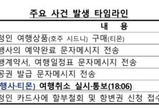 금감원 "티메프 여행·항공권 할부결제금, 카드사가 돌려줘라"..1만명 구제