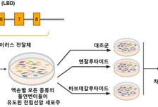"전립선암, 약물 치료 효과 미리 안다"…'약물 내성 지도' 한국서 완성