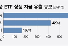 수익률 21%, 실적도 좋은데..."1000억원 빠져나갔다" 화장품 ETF, 왜