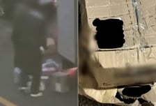 택배 상자 '퍽퍽' 박살 낸 배송기사, 영상 찍어 항의했더니..."사과도 없어"