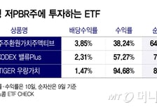 상법 개정 이은 주가누르기 방지법…저평가 ETF, 수혜주 될까