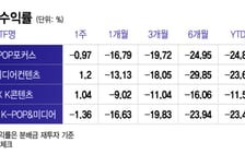 BTS 공연까지 했는데…엔터 ETF 수익률 마이너스 언제까지?