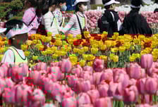 [오늘 날씨] 포근한 주말…서쪽 '황사'·강원 '강풍' 주의