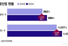 내수 회복 속 가맹본부·브랜드 증가…'가맹점 양극화' 현상도