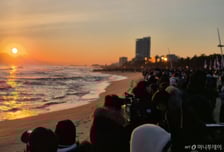 "3시간에 서너곳 가도 3만원", 외국인만 탄다는 가성비 갑 택시