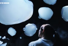 파라다이스시티, A.A.무라카미 첫 한국 개인전 '뉴 네이처' 개최