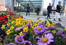 [내일 날씨] 낮 최고 26도, 평년보다 포근…미세먼지 '좋음'
