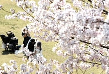 [오늘 날씨] 포근한 하루, 최고 26도…일교차 15도 안팎