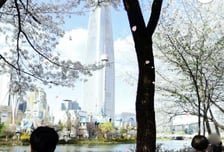 "지도 앱 켰더니 벚꽃잎 흩날리네"  봄바람 살랑대는 '네이버 거리뷰'