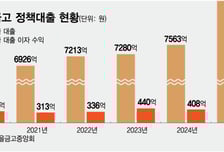 '서민 금융기관' 정체성 얻었지만… 마진 잃은 새마을금고