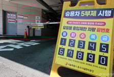 "차 보험료 인하? 고작" 고객 체감 못하고..."2000억 규모" 손보사 속탄다