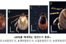 "날씨 좋네" 풀밭 앉았다가 물린다…감염 시 사망률 18% 참진드기 주의보