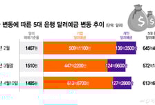 "환율 더 오를라, 지금이라도 사자"…다시 늘어나는 달러예금