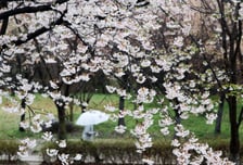 [내일 날씨] 전국 흐리고 남해안·제주 비…서울 낮 최고 25도