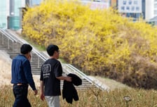 [오늘 날씨] 서울 한낮 25도, 큰 일교차 주의…제주·남해안 비