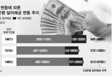 달러예금 '밀물'… 열흘새 41억달러 급증