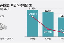 NH손보, 건전성 빨간불...예상보다 실제 손해 훨씬 컸다