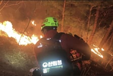 산불실화자 '무관용 원칙' 엄정 대응…내달 15일까지 특별 단속