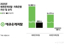 한화·메리츠, 에큐온캐피탈 눈독…포트폴리오 다각화