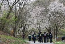 "늑구 찾았어요" 신고하고 지켜보다 물리면, 책임은 누가?