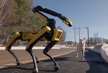 "댕댕아 산책가자" 목 줄 잡은 '로봇개'…신발 정리 방 청소까지 [영상]