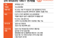보로노이, 폐암치료제 VRN11 임상2상 눈앞…"블록버스터 신약 기대"