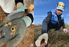 제주항공 참사 재수색 중 귀금속 발견…유류품 추가 확인 가능성