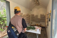 "희생자들 살았다면 서른살" 세월호 12주기...전국에 '노란 리본'