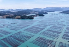 완도군, '바다숲 탄소 거래 사업' 전국 최다 6개소 선정