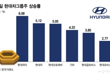 "피지컬 AI 사업 재편, 주가 다 올라"…현대차그룹 주주들 '동반 환호'