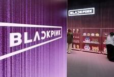 조 단위 '패션 IPO대어'들 제각각 회계…"동일 선상 비교 불가"