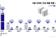 집 본 날 "계약 하시죠" 이유 있었네…하루 만에 1000만원 뛴 전세